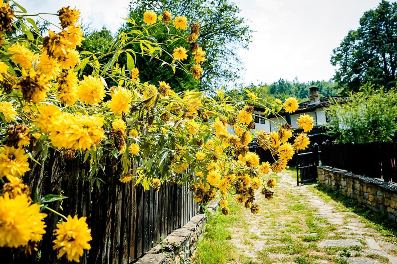 Strannopriemnitsa Guest House Bozhentsi Exterior photo